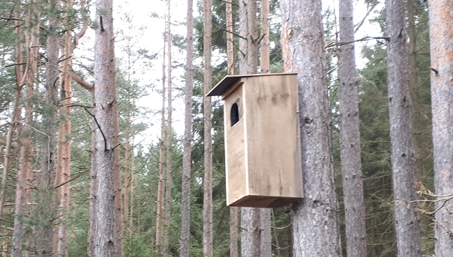 Breiter Teich Nistkaesten