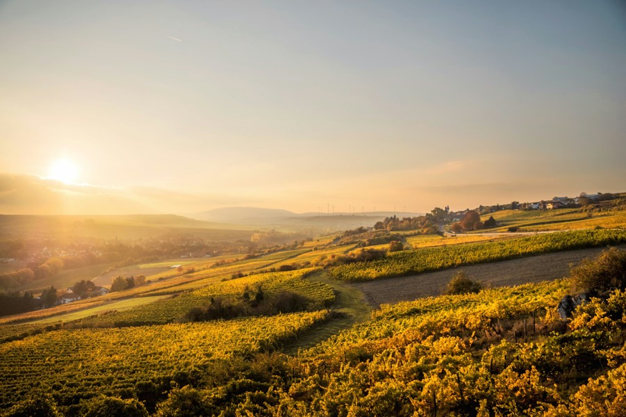 landschaft selb hochfranken