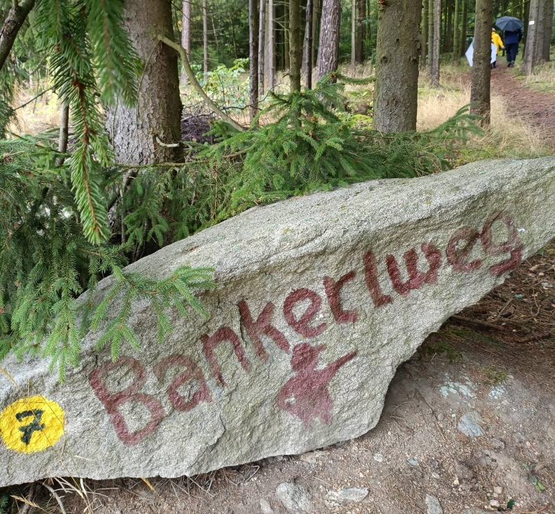 lions wandertag selb 09252