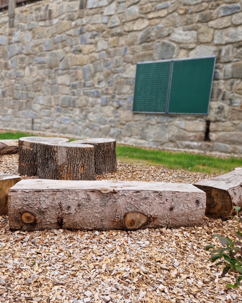 schulgarten selb 10251