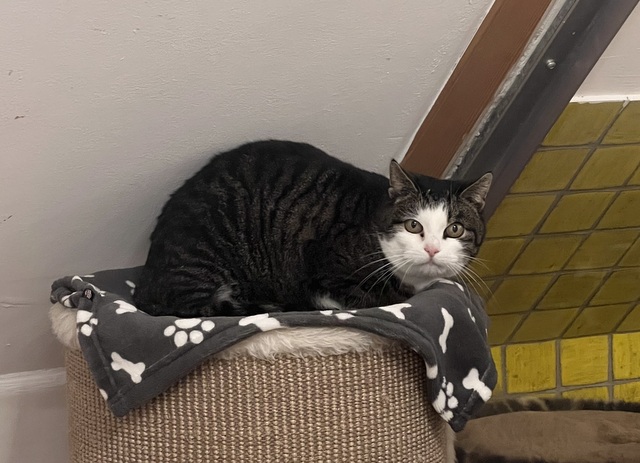 tier selb 0126 missi Kopie