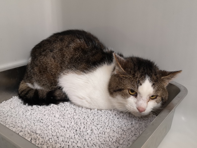 tier selb 0326 carlie