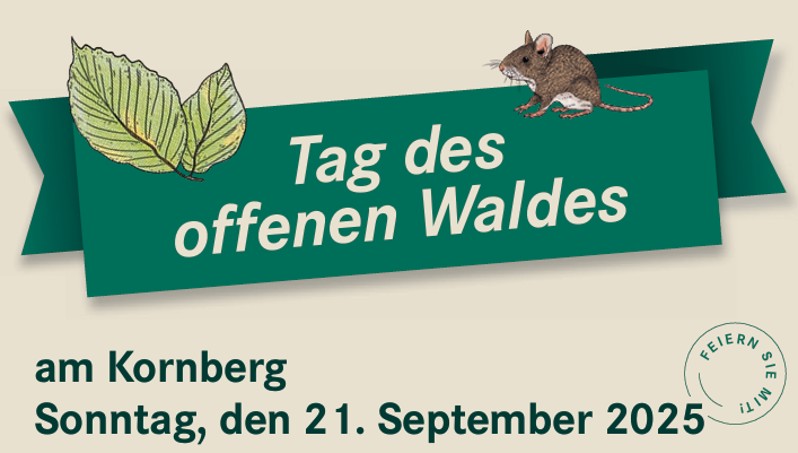 wald selb kornberg 0925
