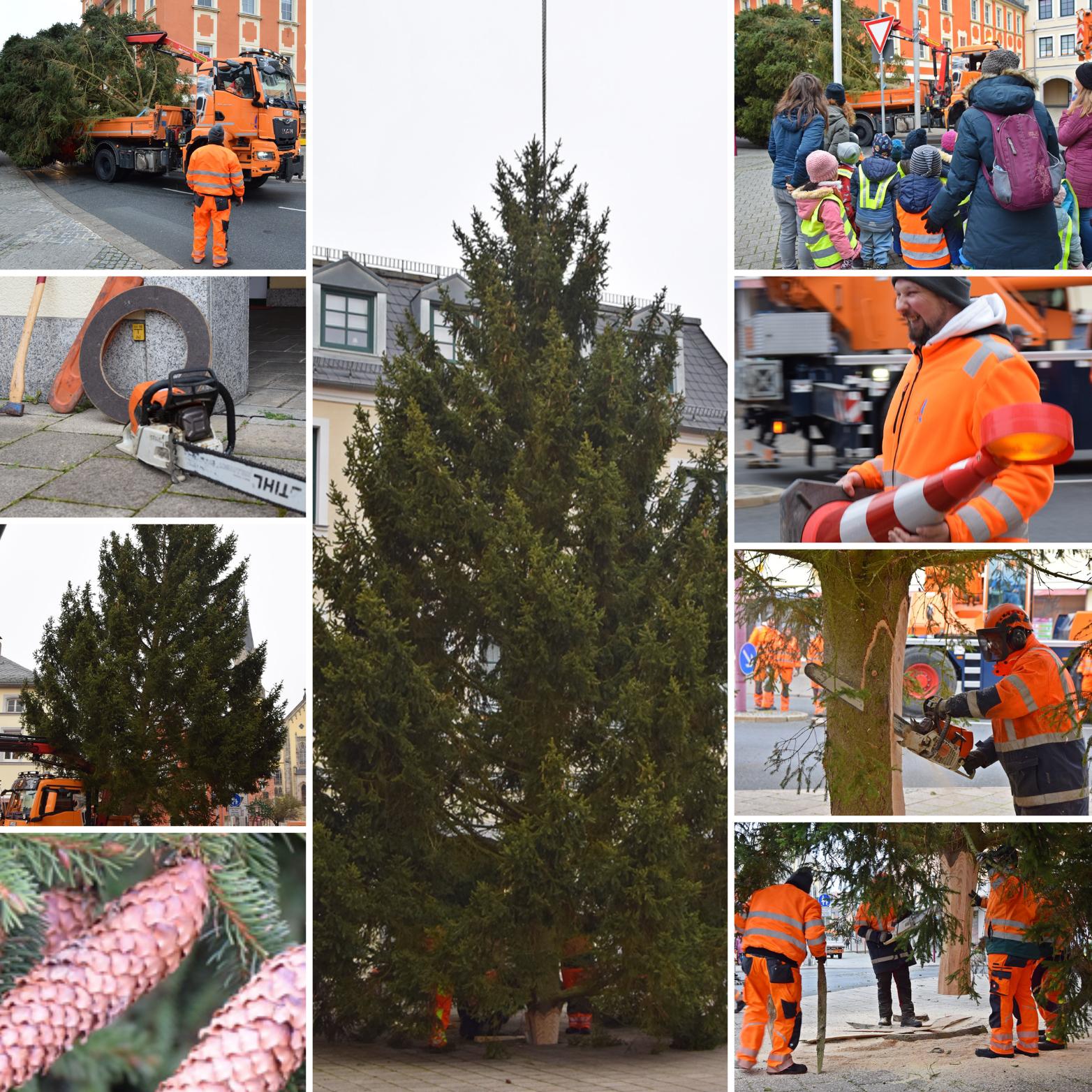 weihnachtsbaum selb 2024