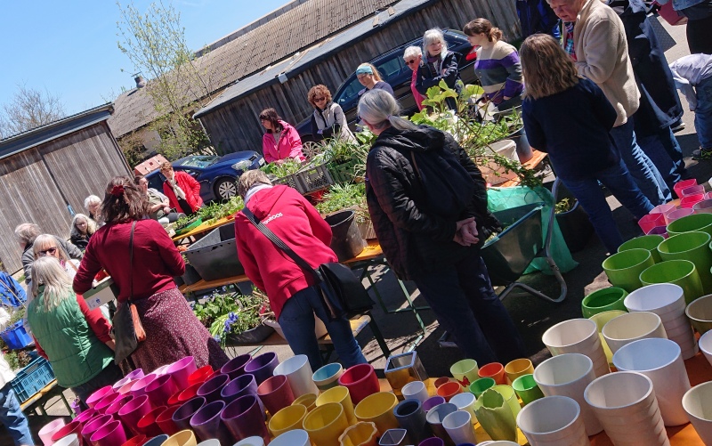 stauden selb heidelheim 0426