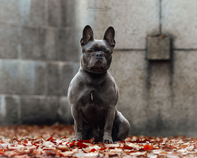 tier selb 0426 cooper